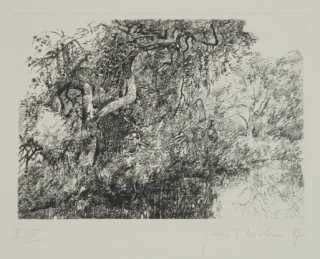 o.T. Bl.5 (Richter Gerenot)