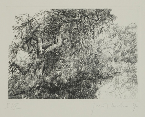 o.T. Bl.5 (Richter Gerenot)