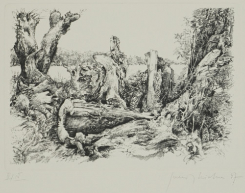 o.T. Bl.8 (Richter Gerenot)