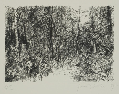 o.T. Bl.10 (Richter Gerenot)