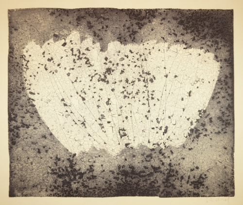 Bl. 1 o.T.  Gefaltet (Göschel Eberhard)