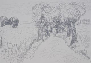 Allee (Graf Karen)