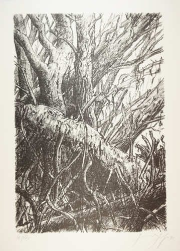 o.T. Blatt 2 (Grass Günter)