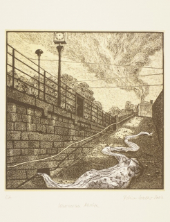 Unerwartete Abreise (Haller Bettina)