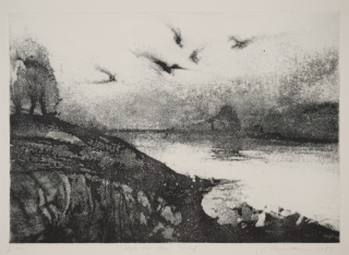 Vogel über dem Fluß (Herrmann Gunter)