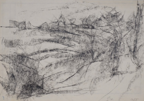 Rieselgrund (Herrmann Gunter)