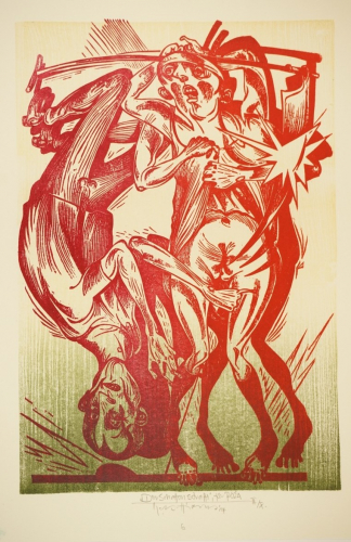 Der Schatten strafft für Roz^a (Hirsch Karl-Georg)