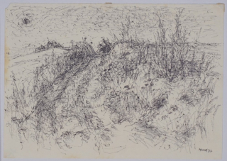 Landschaft (Hund Hans-Peter)