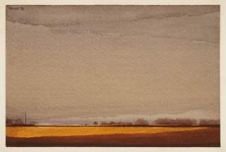 Graublauer Himmel über beleuchtetem Feld (Hund Hans-Peter)