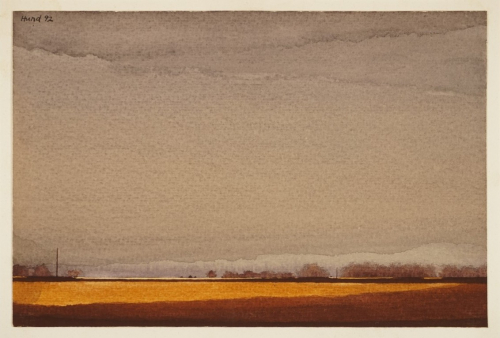 Graublauer Himmel über beleuchtetem Feld (Hund Hans-Peter)