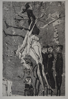 Tulps Anatomie (Janssen Horst)