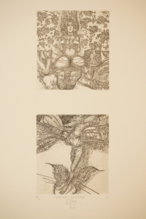 Sophokles Antigone (Jürgens Harry)