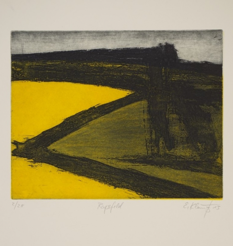 Rapsfeld (Klauß Eberhard)