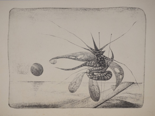Aufgespießte Insekten (Loewig Roger)