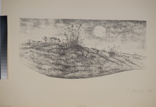 Hügelbetten (Loewig Roger)