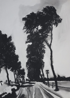 o.T. (Allee) (Lohse Jörg)