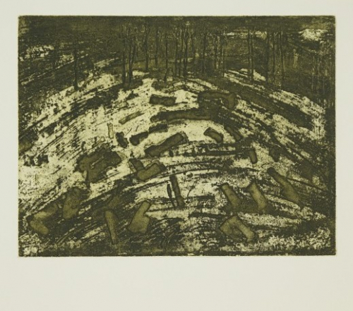 Windbruch (Morgner Michael)