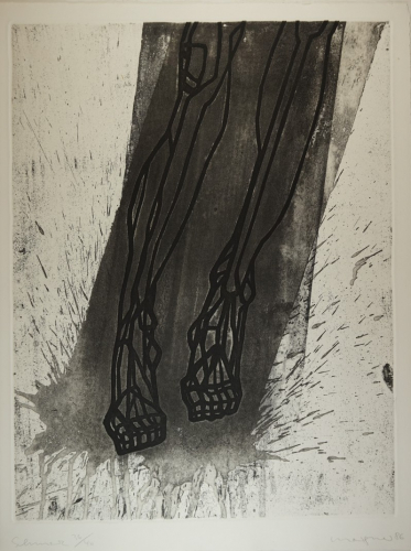 Bl.9 Schmerz (Morgner Michael)