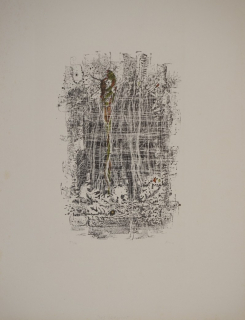 Das Irrlicht (Mörstedt Alfred Traugott)