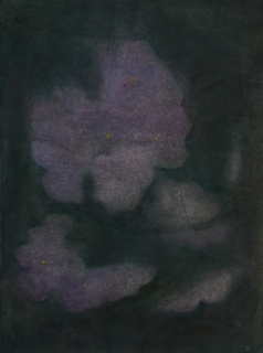 o.T. (Blumen) (Bösch Irene)