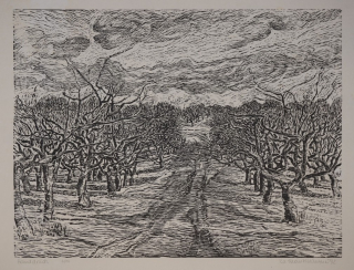 o.T. Obstplantage (Münzner Karlheinz)
