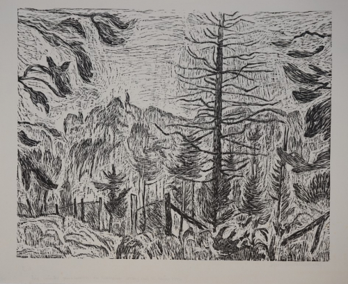 Waldstück (Münzner Karlheinz)