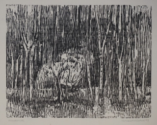 o.T. Waldblick  (Münzner Karlheinz)