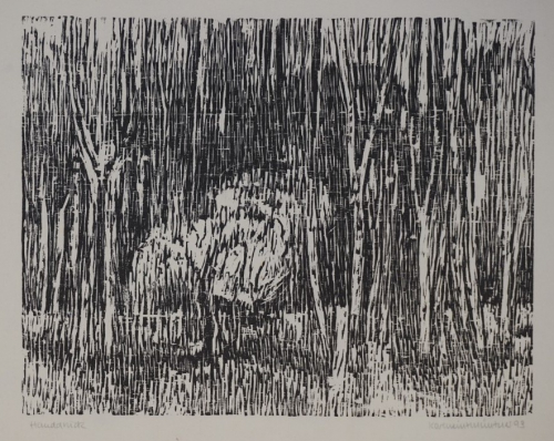 o.T. Waldblick  (Münzner Karlheinz)