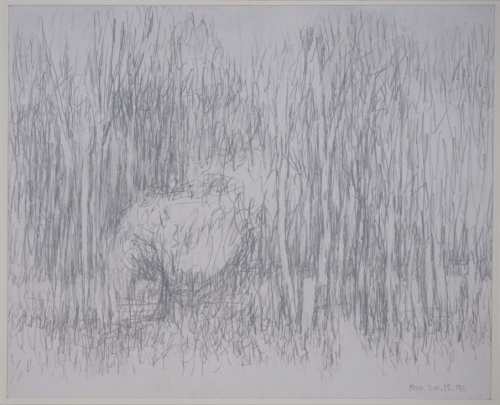 o.T. (Landschaft) (Münzner Karlheinz)