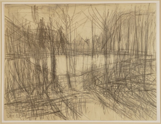 Waldlichtung (Münzner Karlheinz)