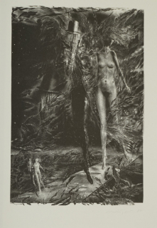 Die neue Melusine zu Goethe (Münzner Rolf)