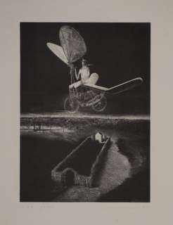 P. überfliegt Landschaft bei L. (Münzner Rolf)