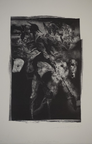 Don Quichotte und die Riesen (Münzner Rolf)