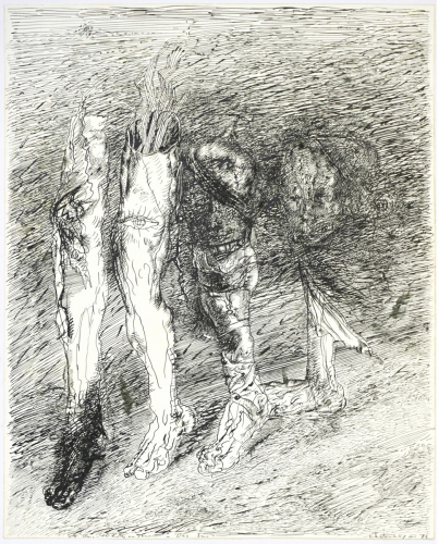 Das Knie (Münzner Rolf)