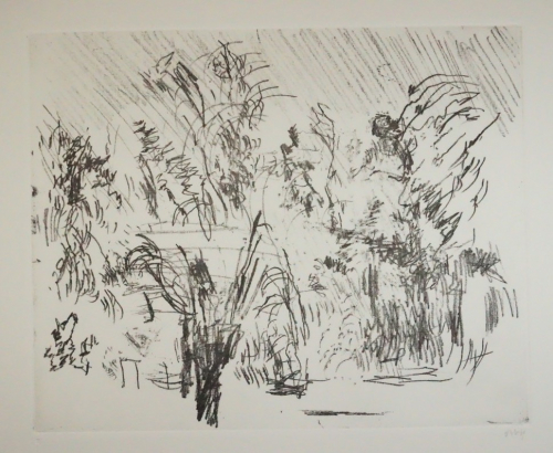 Landschaft     Bl. 5 (Niemeyer-Holstein Otto)