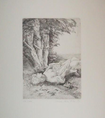 Bl.6 Flora von Wiepersdorf (Peuker-Krisper Annette)