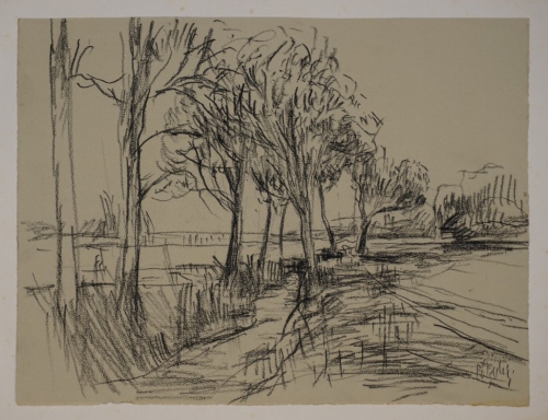 o.T. (Feldweg) (Pötzschig Gert)