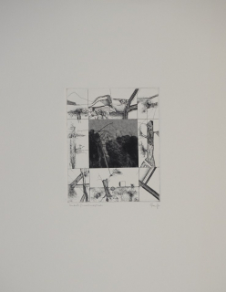 Landschaftsmetamorphosen (Ranft Thomas)