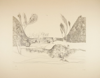 Grasbergtalgras (Ranft Thomas)