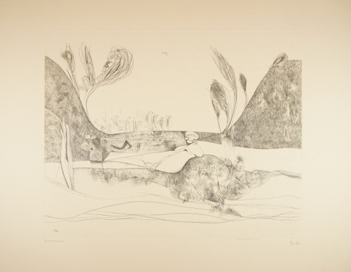 Grasbergtalgras (Ranft Thomas)