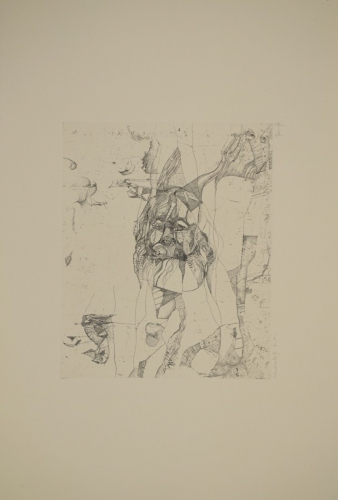 Landschaft K.M. (Ranft Thomas)