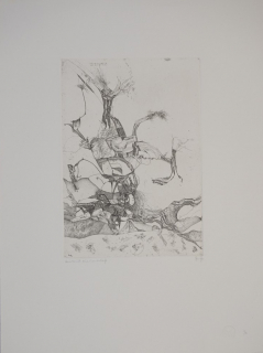 Ausbruch einer Landschaft (Ranft Thomas)