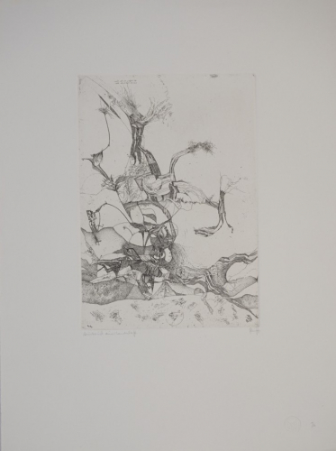 Ausbruch einer Landschaft (Ranft Thomas)