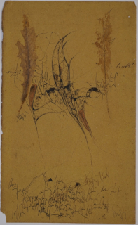 Rechts-Links (Ranft Thomas)