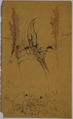 Rechts-Links (Ranft Thomas)