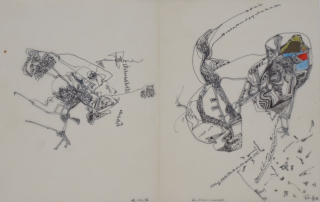 Der Narr schweigt (Ranft Thomas)