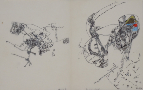 Der Narr schweigt (Ranft Thomas)