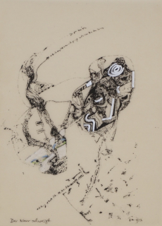 Der Narr schweigt (Ranft Thomas)