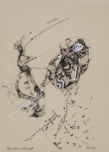 Der Narr schweigt (Ranft Thomas)