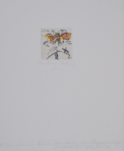 Schmetterling (Ranft-Schinke Dagmar)